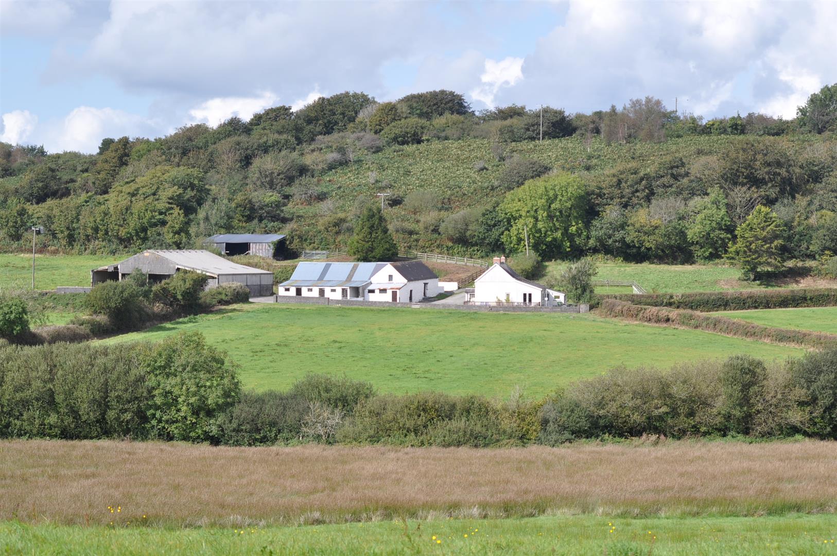 Llangynog, Carmarthen Terry Thomas & Co Estate Agents in Carmarthenshire West Wales